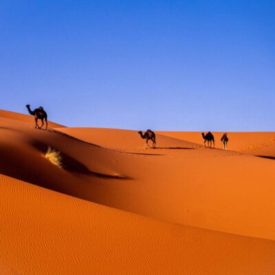 Marocco