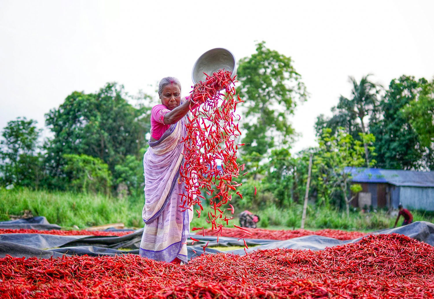 India – Dove mangiare